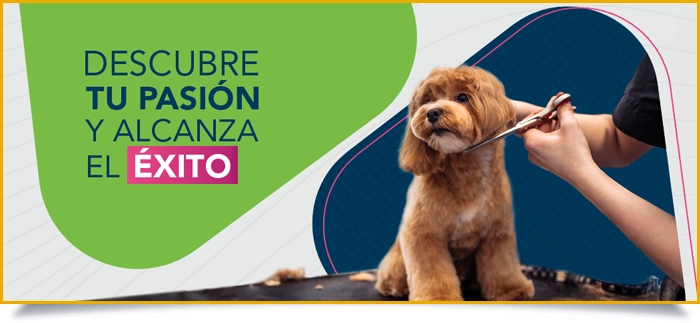ICPR Certificados Profesionales - Pet Grooming